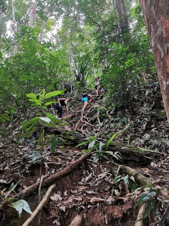 Naura Roomstay Kuala Tahan Buitenkant foto