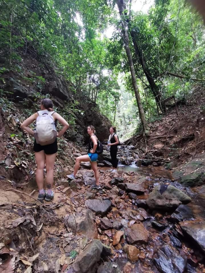 Naura Roomstay Kuala Tahan Buitenkant foto