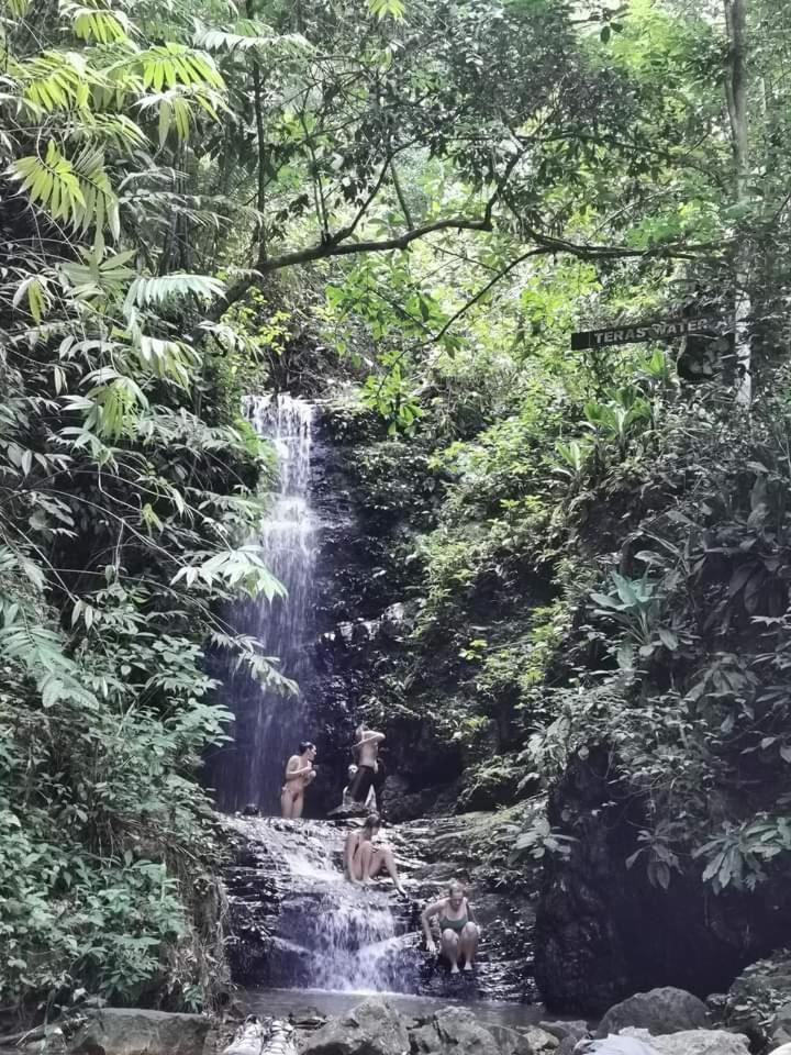 Naura Roomstay Kuala Tahan Buitenkant foto
