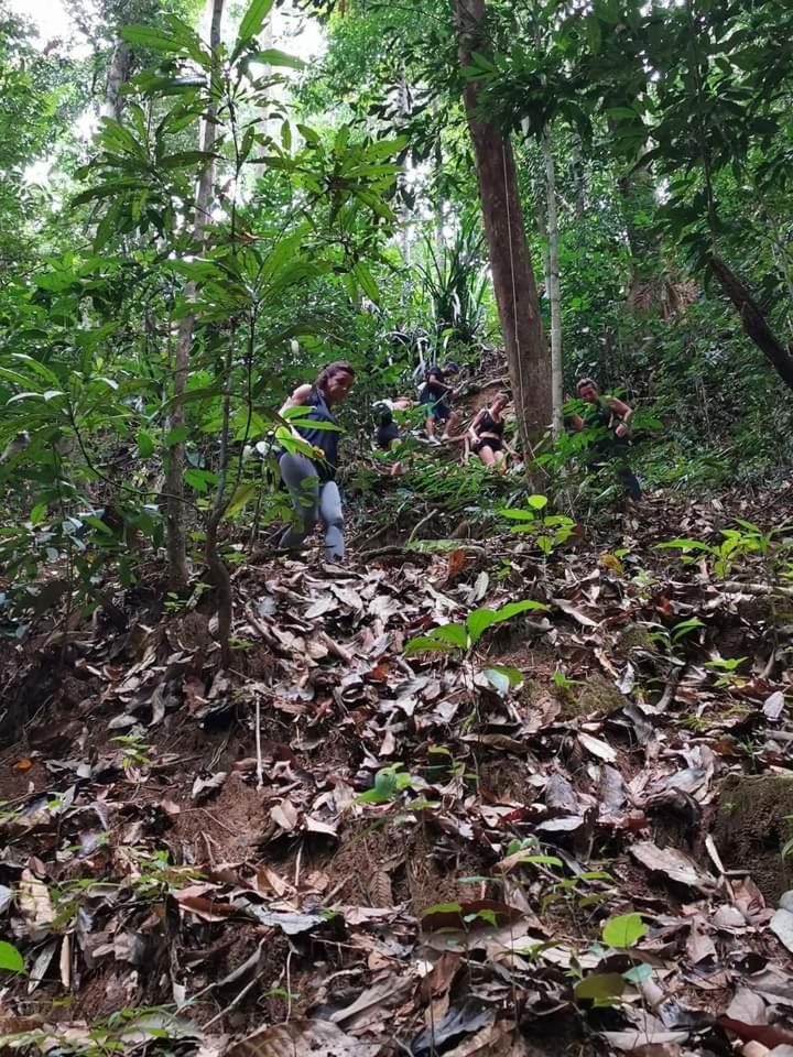 Naura Roomstay Kuala Tahan Buitenkant foto