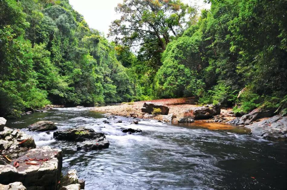 Naura Roomstay Kuala Tahan Buitenkant foto
